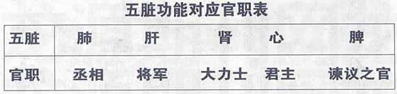 中医详解五脏六腑之心脏