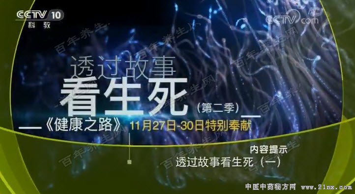 透过故事看生死