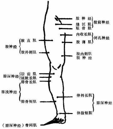 附二电诊断