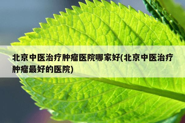 关于首都医科大学附属北京中医医院专家挂号费标准是多少钱的信息