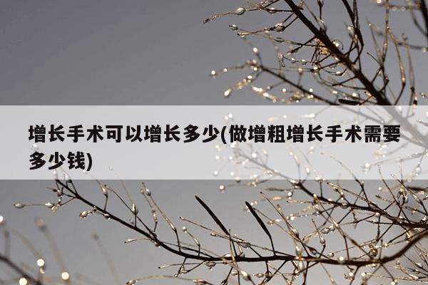 增長手術可以增長多少(做增粗增長手術需要多少錢) - 中醫藥方網